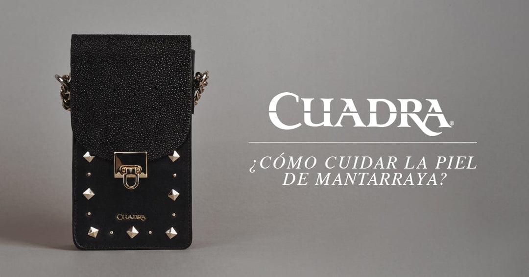 ¿Cómo cuidar la piel de mantarraya? – Cuadra México