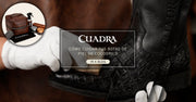 Cómo cuidar tus botas de piel de cocodrilo