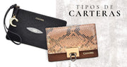 Tipos de carteras