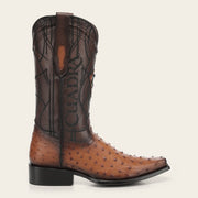 Bota tradicional Orígenes en piel genuina de avestruz para caballero Botas y Botines 