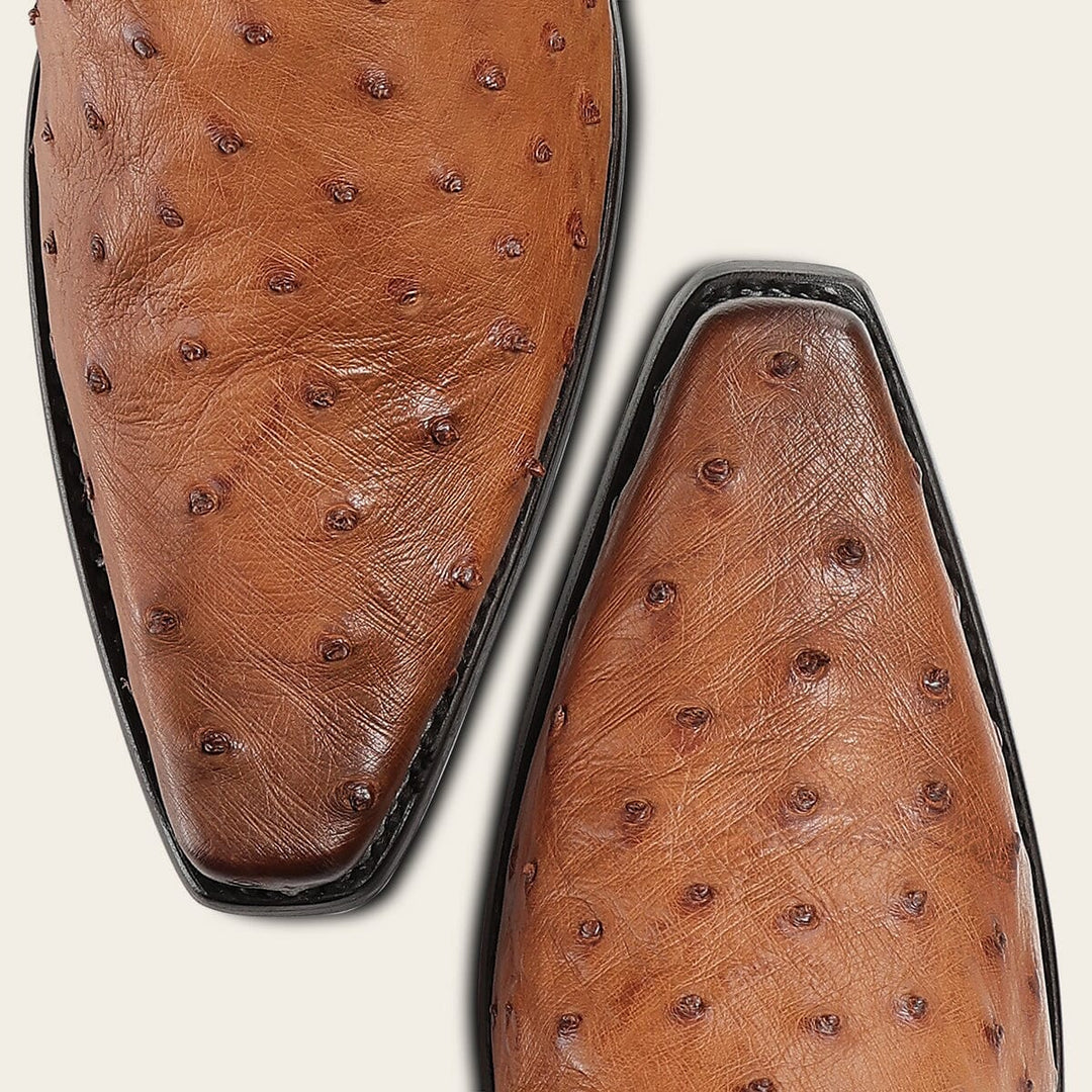 Bota tradicional Orígenes en piel genuina de avestruz para caballero Botas y Botines 