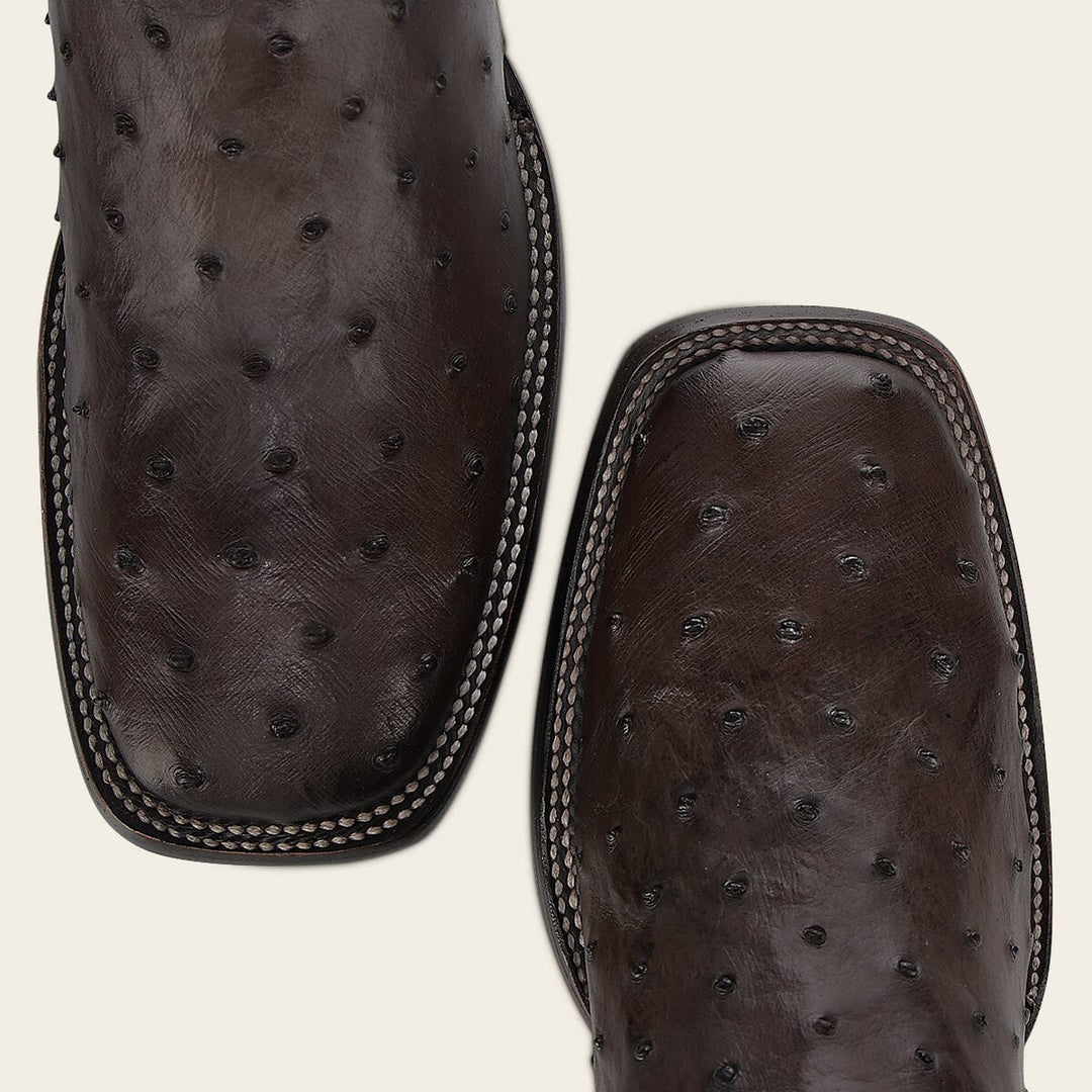 Bota tradicional Orígenes en piel genuina de avestruz para caballero Botas y Botines 