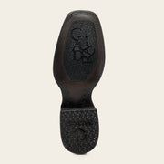 Bota tradicional Orígenes en piel genuina de pirarucu para caballero Botas y Botines 