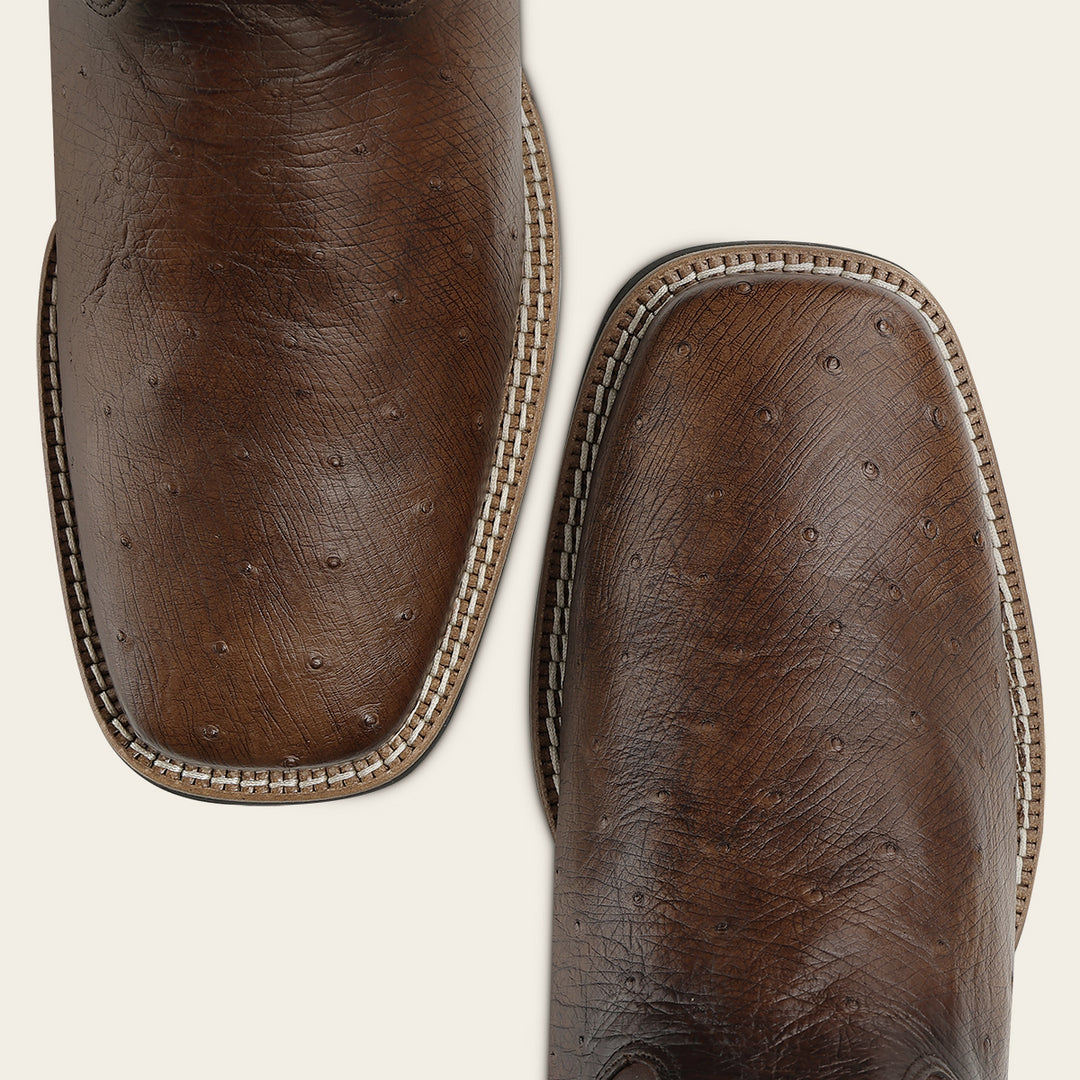 Bota rodeo en piel genuina de avestruz para caballero