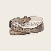 Cinturón en piel genuina de víbora buccata para dama Cinturones 