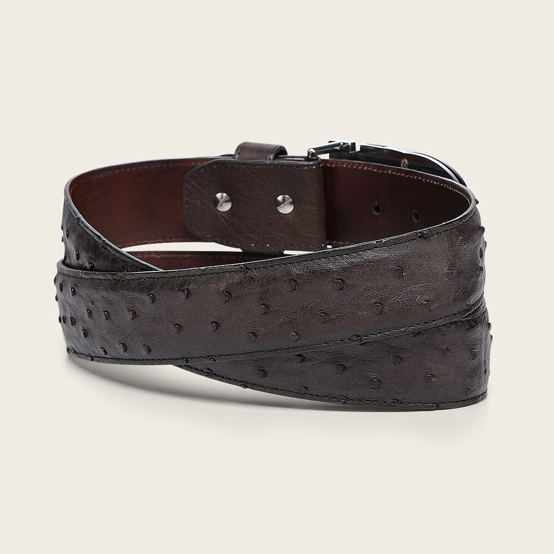 Cinturón casual en piel genuina de avestruz para caballero Cinturones 