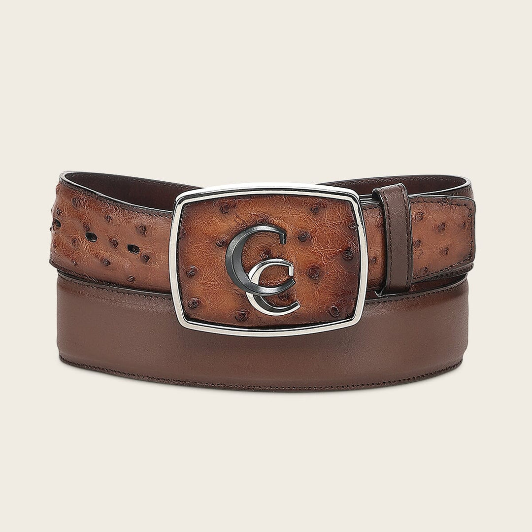 Cinturón vaquero Orígenes en piel genuina de avestruz para caballero Cinturones 