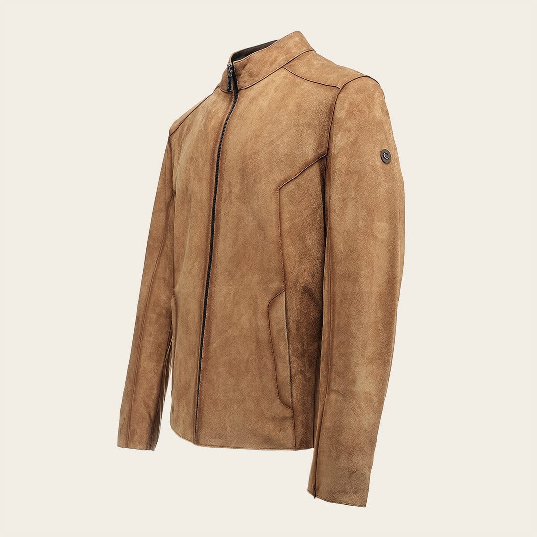 Chamarra en piel genuina de cordero para caballero Chamarras 