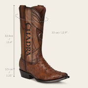 Bota vaquera en piel genuina de avestruz para caballero Vaquera 